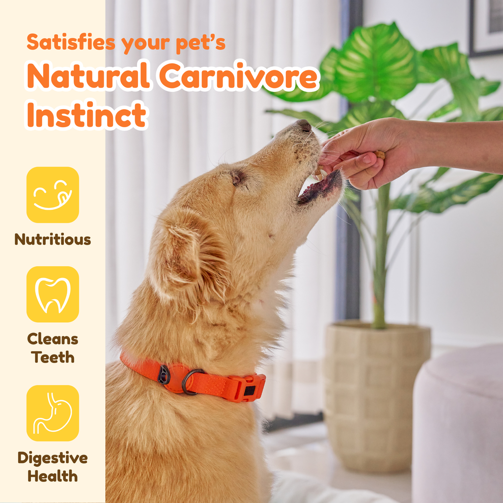 Freeze Dried 100% Chicken Breast