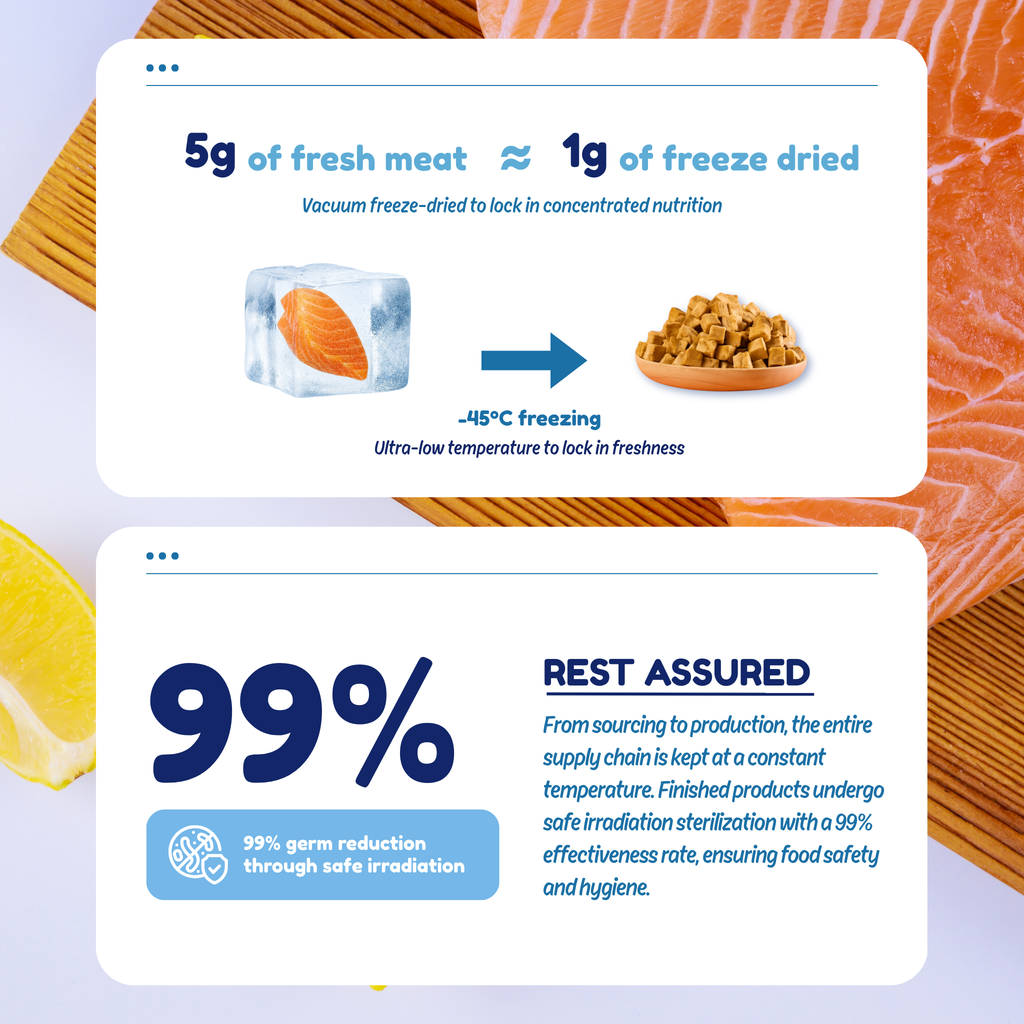 Freeze Dried 100% Salmon