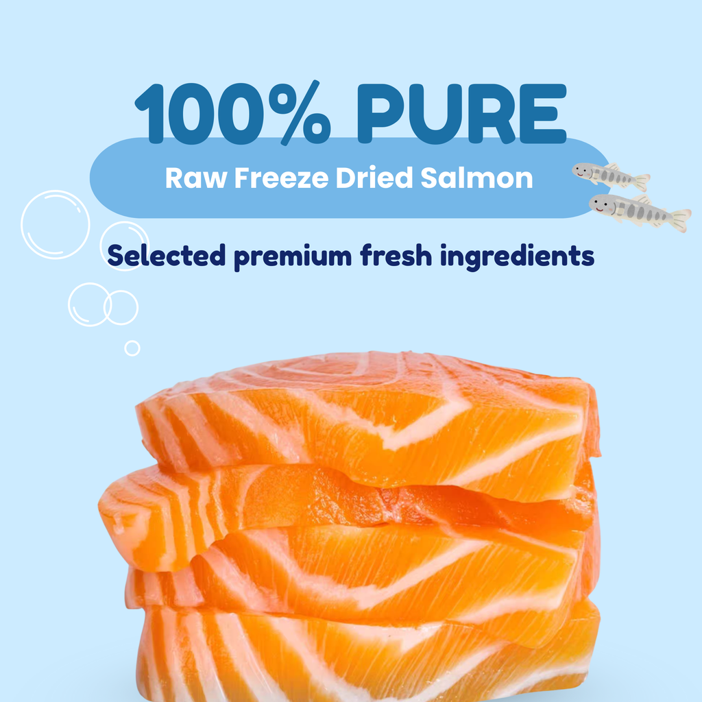 Freeze Dried 100% Salmon