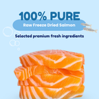 Freeze Dried 100% Salmon