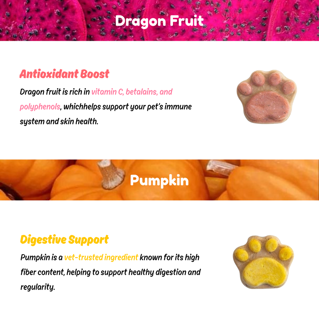 Pawcito