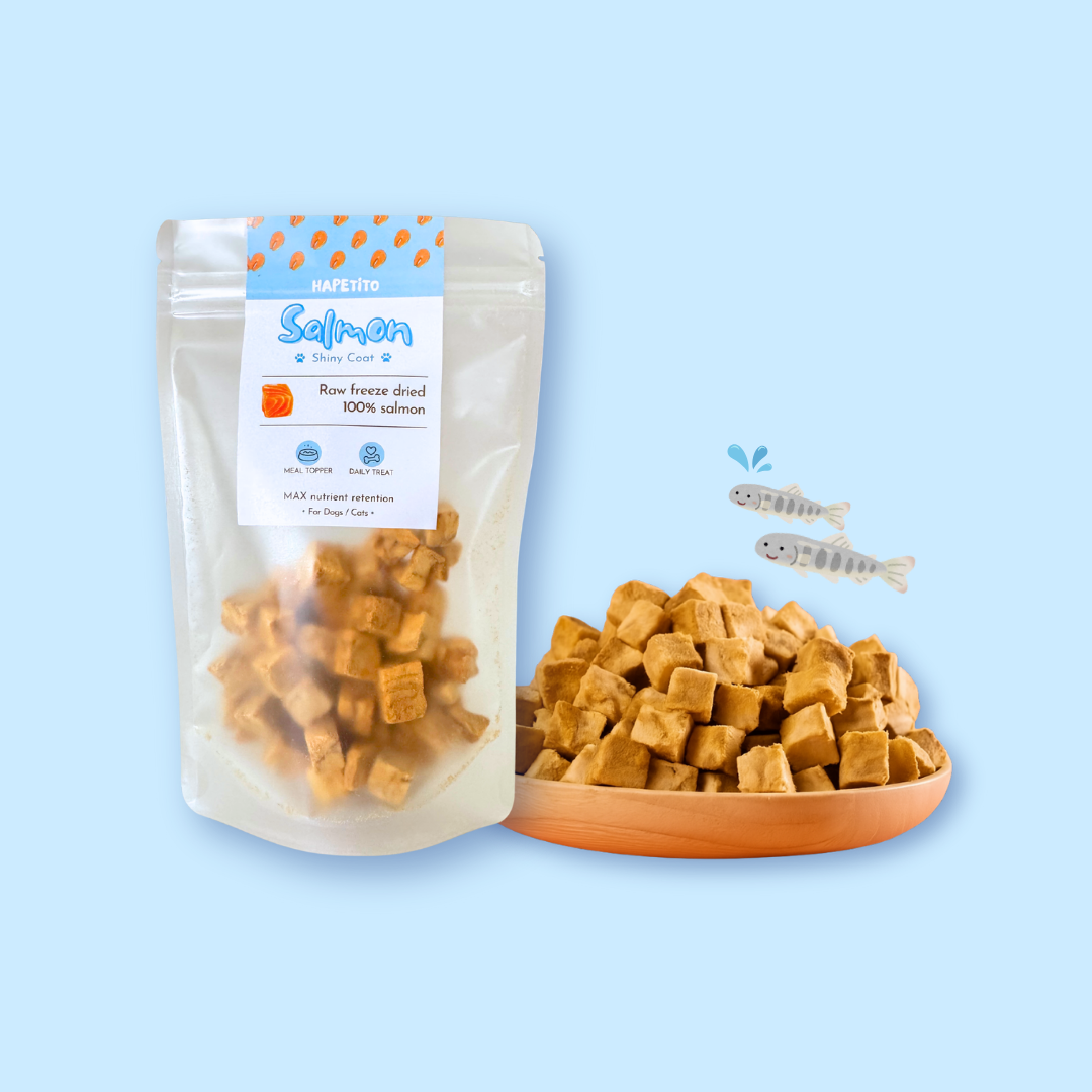 Raw freeze dried 100% salmon 🐟